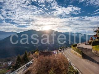 Vista