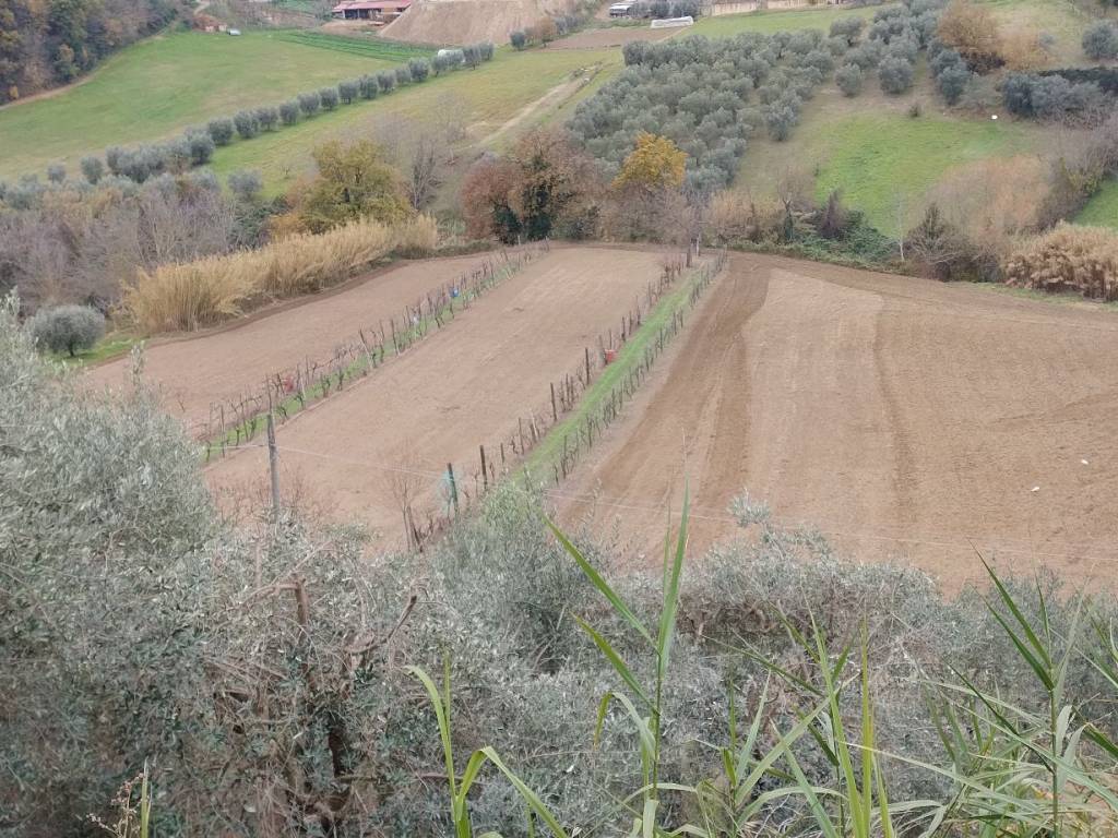 Terreno agricolo strada fonte di campo 50, ascoli piceno