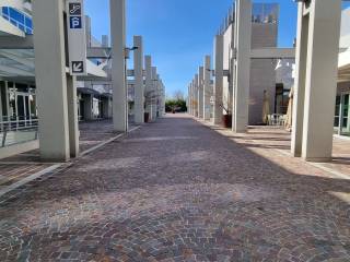 Zona