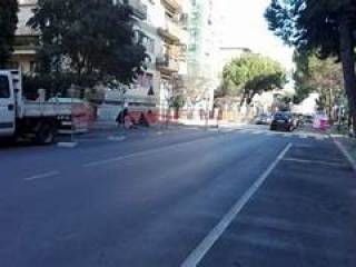 Zona