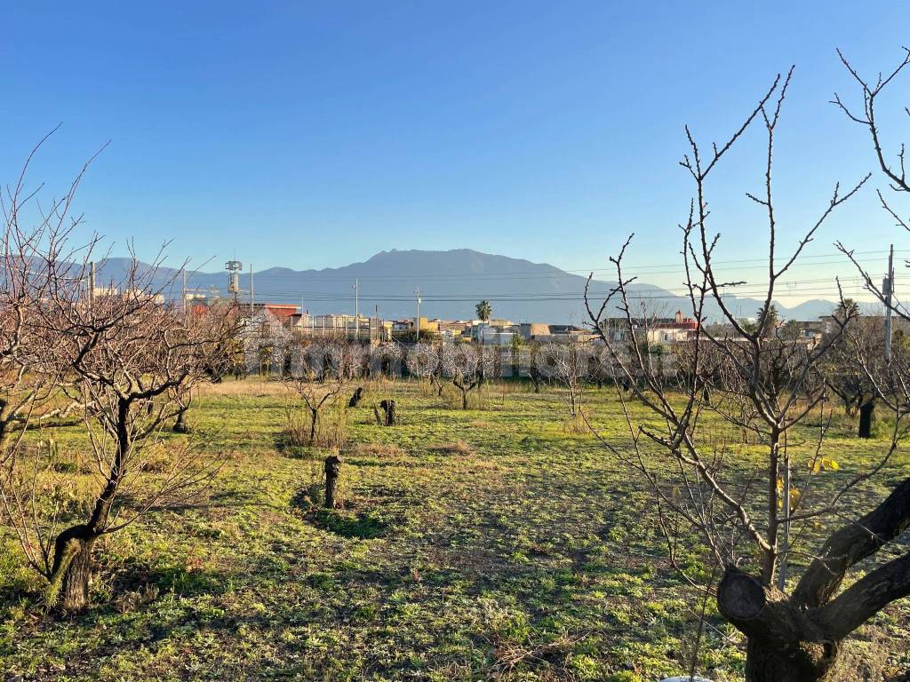Terreno agricolo via Viuli 10, Torre del Greco, rif. 112382949 ...