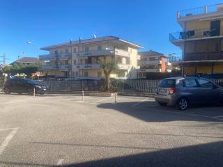 Zona