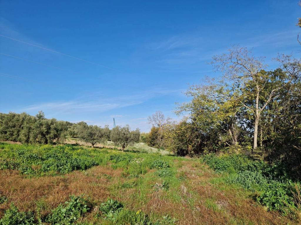 Terreno agricolo contrada polo grande, roseto degli abruzzi