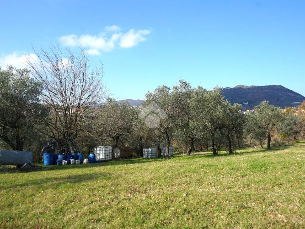 Terreno