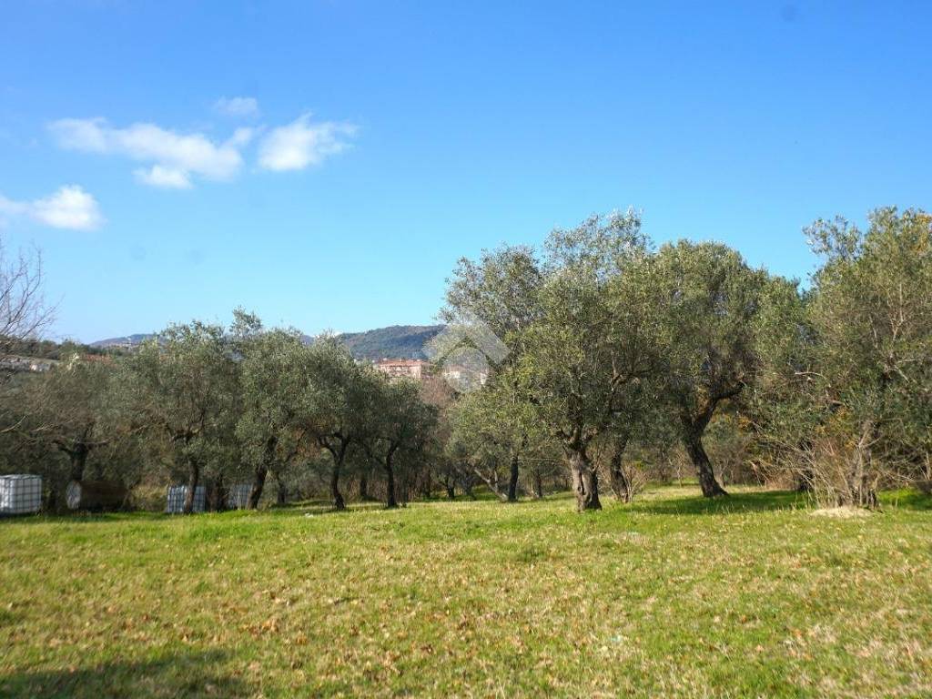 Terreno