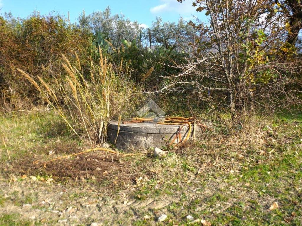 Terreno