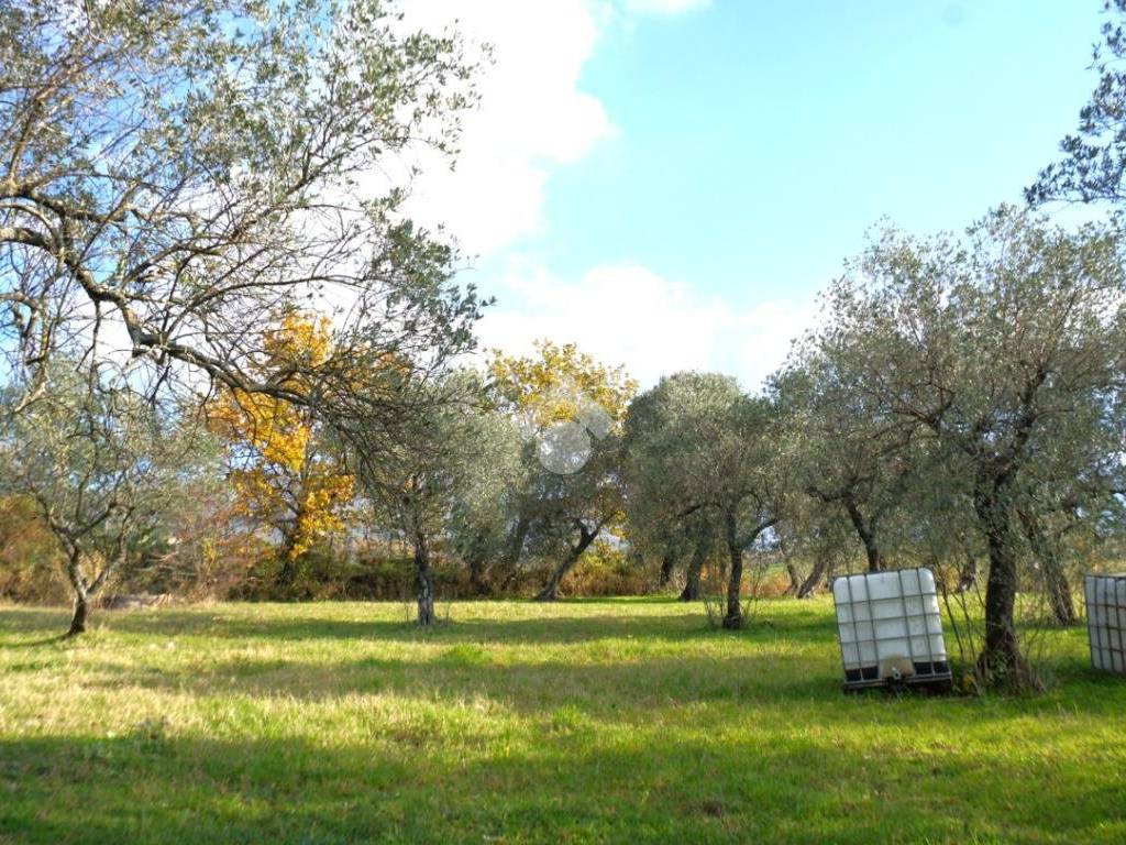 Terreno