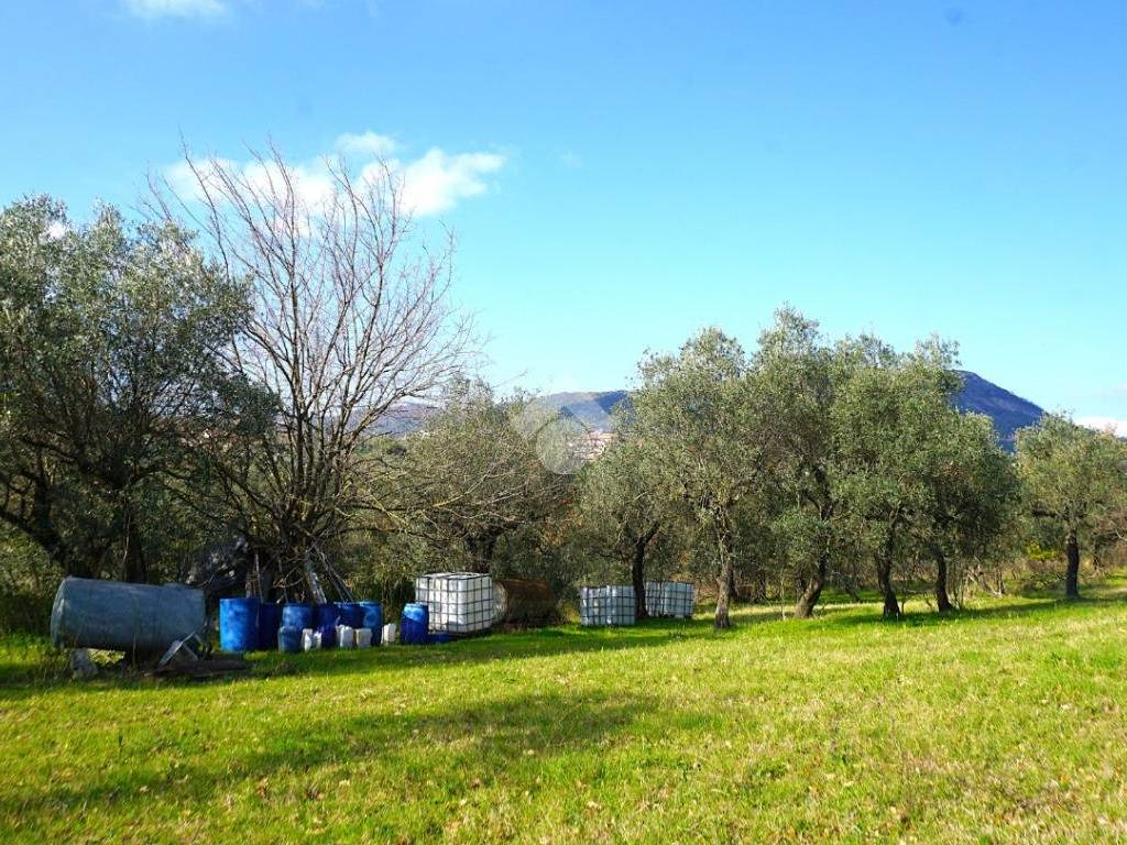 Terreno