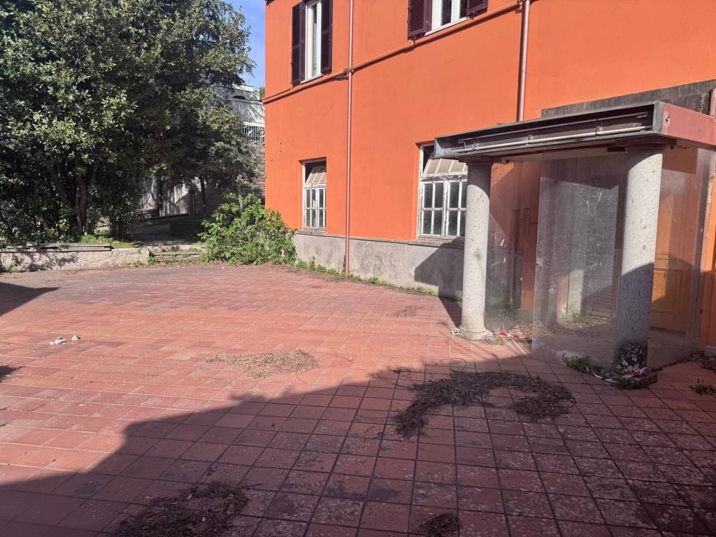 Locale commerciale viale armando diaz 19, carmine - pietrare, viterbo