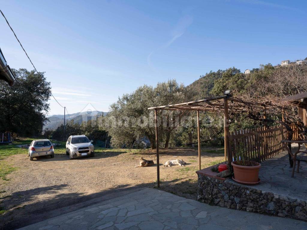 Giardino