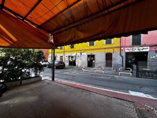 Zona
