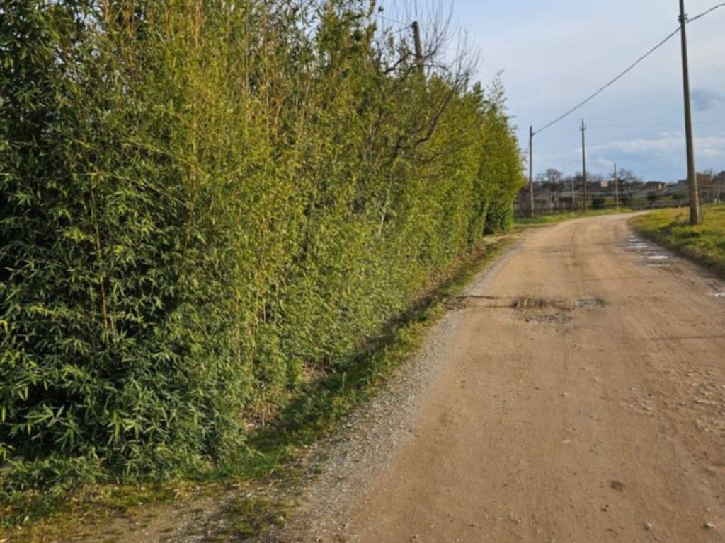 Terreno agricolo via della fonte al giunco, montepulciano