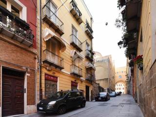 Zona