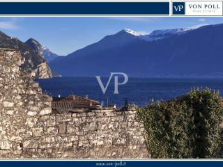 Vista