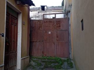 Zona