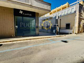 Ingresso
