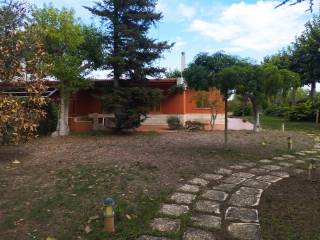 Ingresso