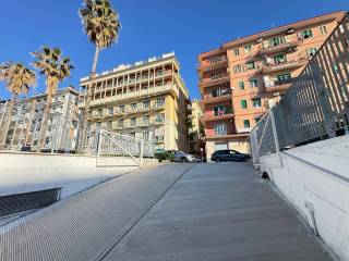 Zona