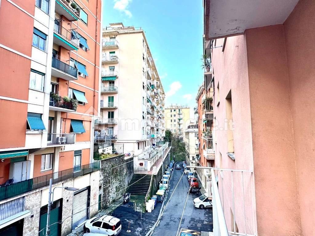 Vista