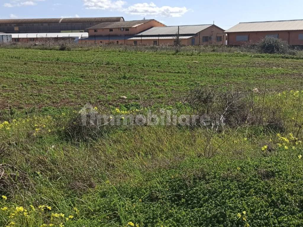 Terreno