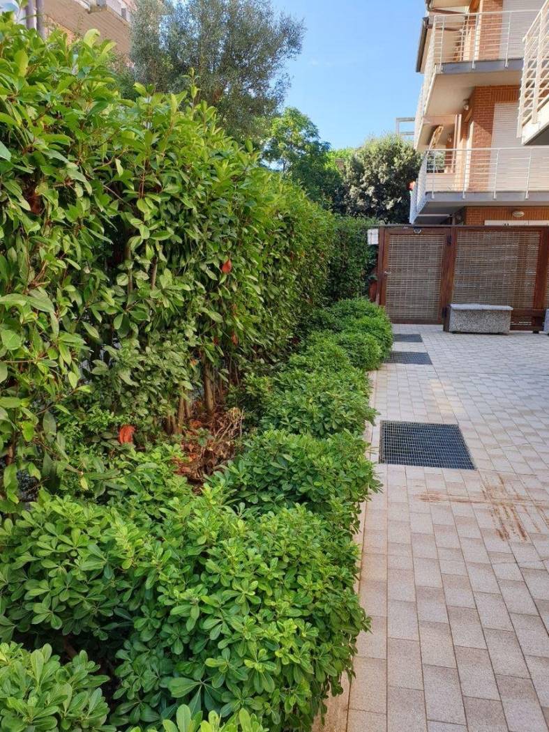 Appartamento in vendita a Scarlino