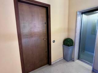 Ingresso