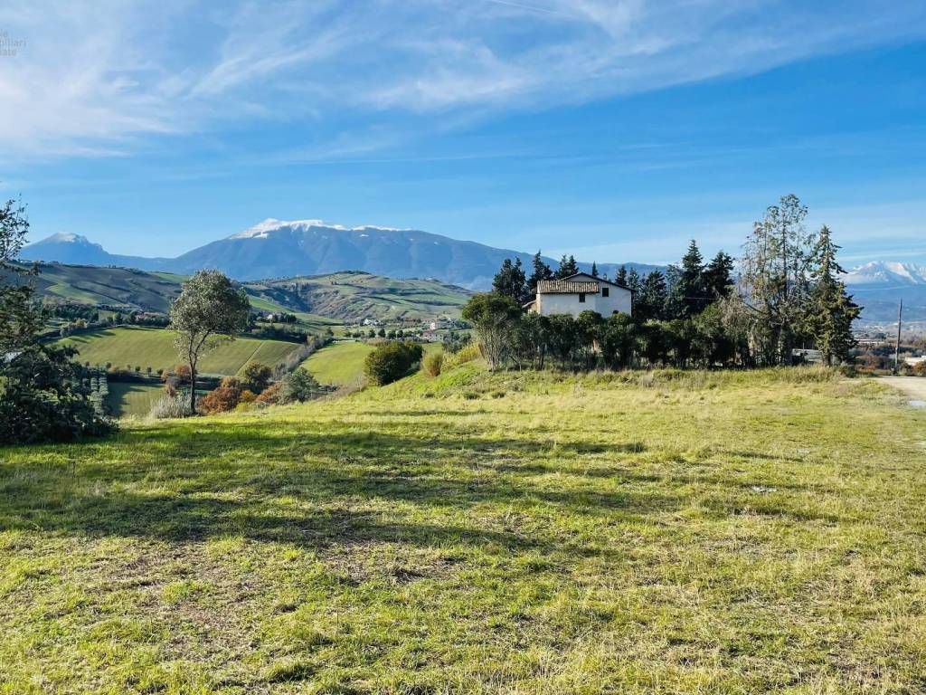 Terreno