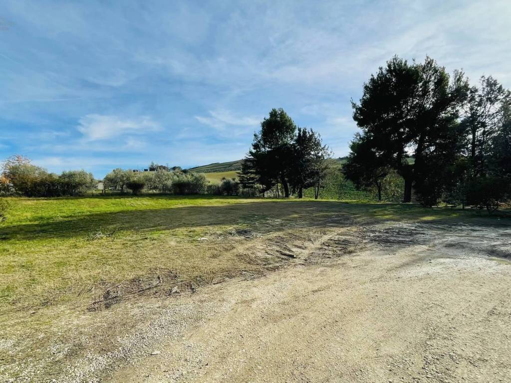 Terreno