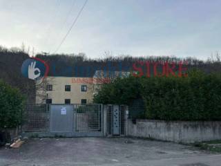 Zona