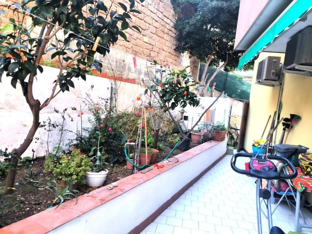 Giardino