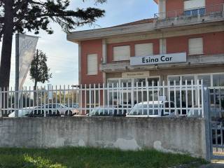 Zona