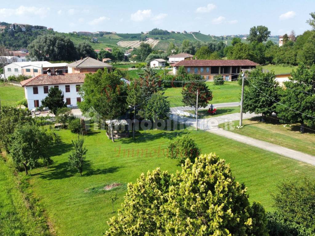 Vista