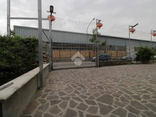 Zona