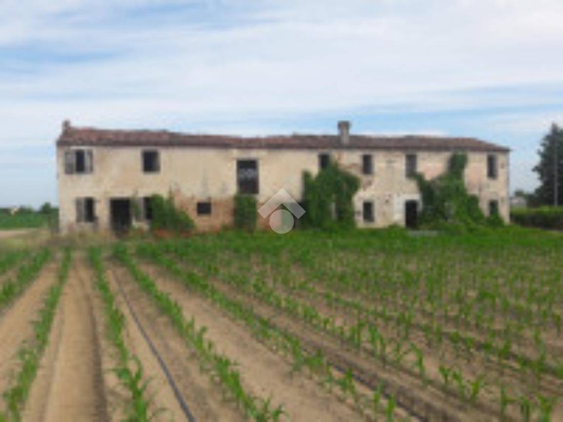 Rustico - Casale in vendita a Bovolone