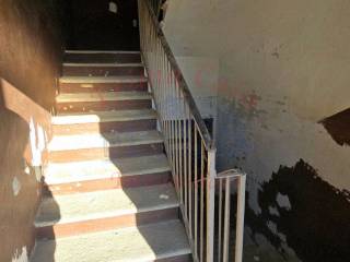 Ingresso