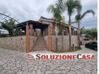 Zona