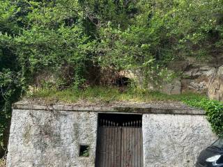 Zona