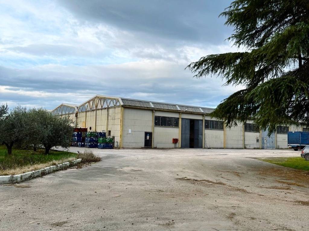 Capannone via campo zingrillo i, castrocielo