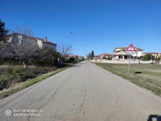 Zona
