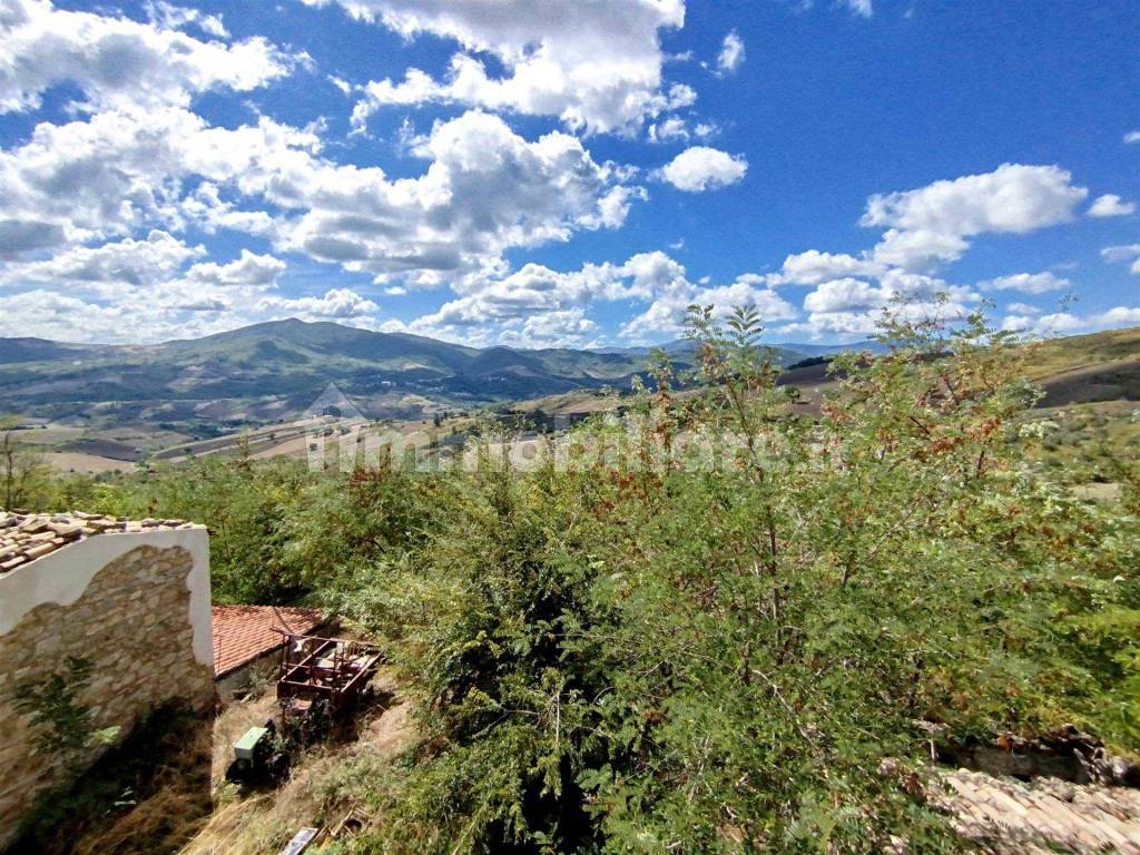 Vista