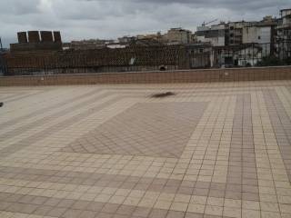 Zona