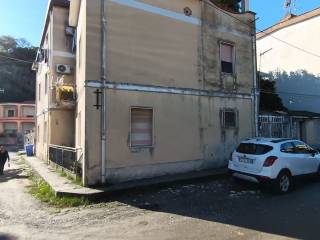 Zona
