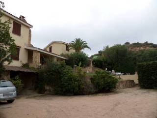 Zona