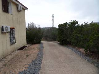 Zona