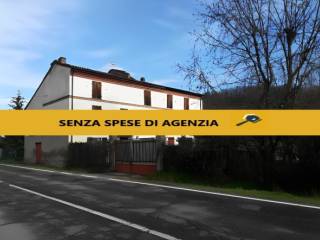 Zona