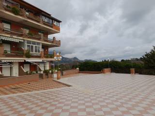 Zona