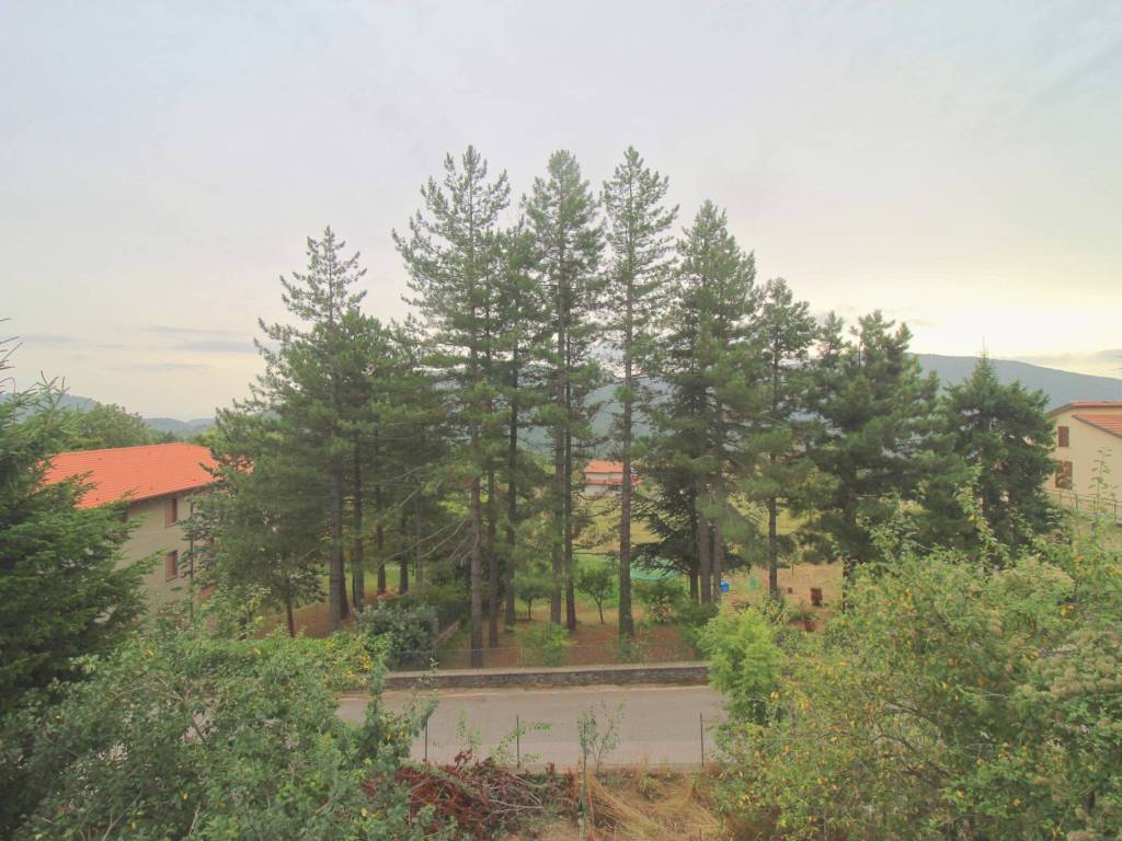 Vista