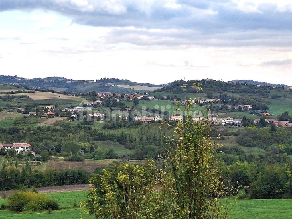 Vista