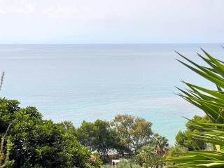 Vista
