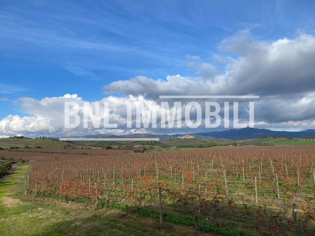 Terreno agricolo località muccaia, roccastrada